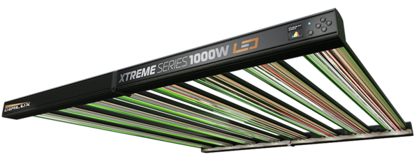 Dimlux DimLux Xtreme 1000W Dimlux DimLux Xtreme 1000W