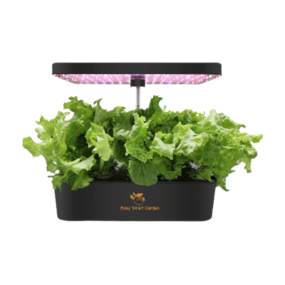 Easy Smart Garden 14 Easy Smart Garden 14