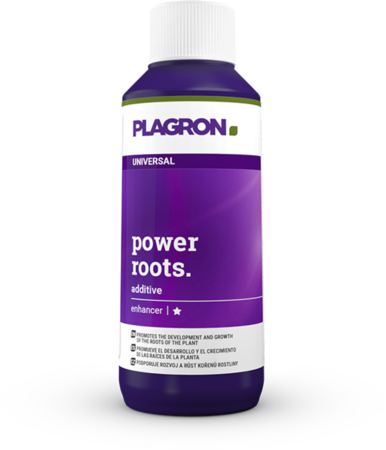 Plagron Plagron Kraftwurzeln 100ml Plagron Plagron Kraftwurzeln 100ml