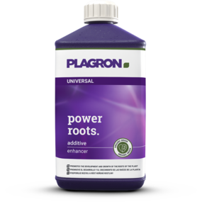 Plagron Power Roots 1 Liter Plagron Power Roots 1 Liter