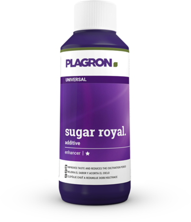 Plagron Plagron Sugar Royal 100ml