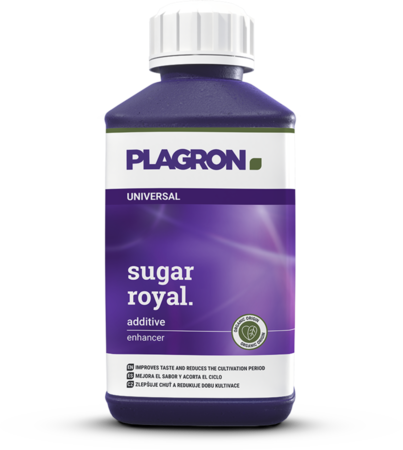 Plagron Plagron Sugar Royal 250ml Plagron Plagron Sugar Royal 250ml
