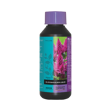 Atami Atami Bcuzz Blossom Builder Flüssigkeit 100ml Atami Atami Bcuzz Blossom Builder Flüssigkeit 100ml