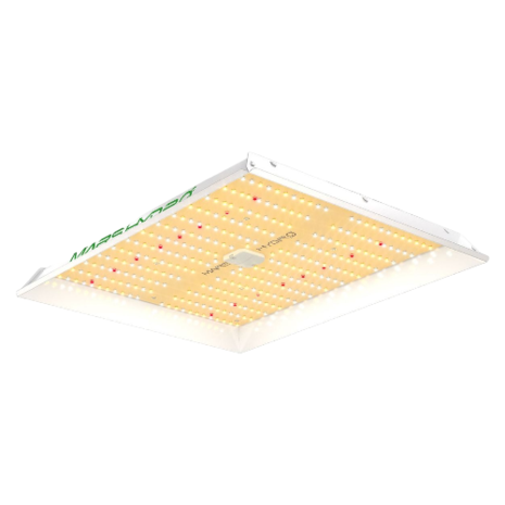 Mars Hydro MarsHydro TS1000 Mars Hydro MarsHydro TS1000