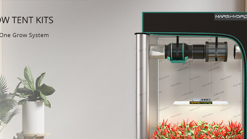 Qu'est-ce qu'un Pack chambre de culture