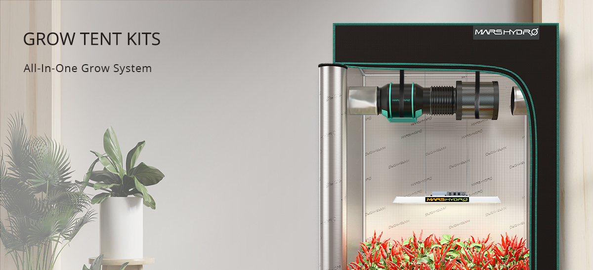 Qu'est-ce qu'un Pack chambre de culture