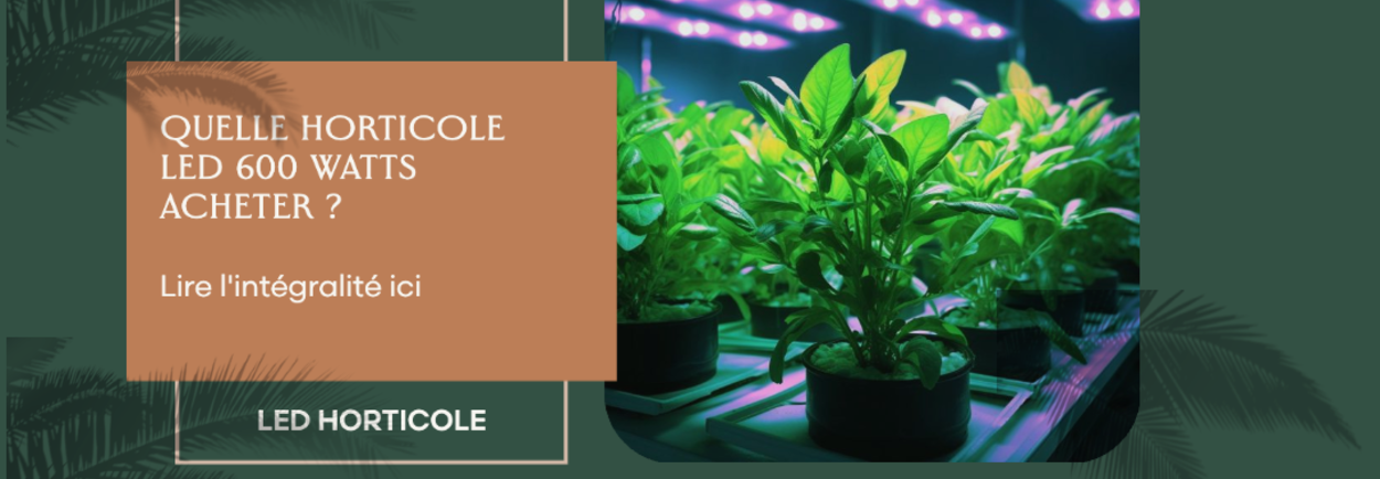 Quelle lampe de culture Horticole à LED de 600 watts est la meilleure ?