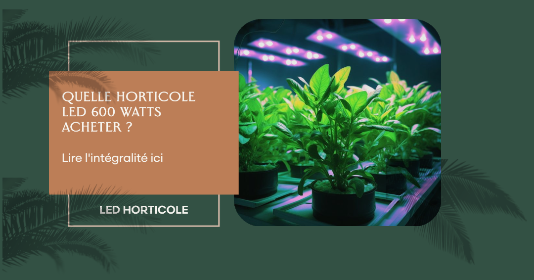 Quelle lampe de culture Horticole à LED de 600 watts est la meilleure ? Quelle lampe de culture Horticole à LED de 600 watts est la meilleure ?