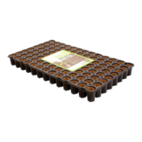 Eazy Plugs Eazy Plugs 104 vaks (6 trays) Eazy Plugs Eazy Plugs 104 vaks (6 trays)