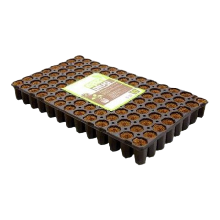 Eazy Plugs Eazy Plugs 77 vaks (10 trays) Eazy Plugs Eazy Plugs 77 vaks (10 trays)