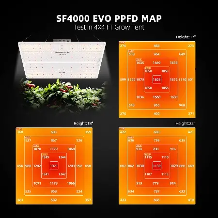 Spider Farmer Spider Farmer SF4000 EVO Spider Farmer Spider Farmer SF4000 EVO