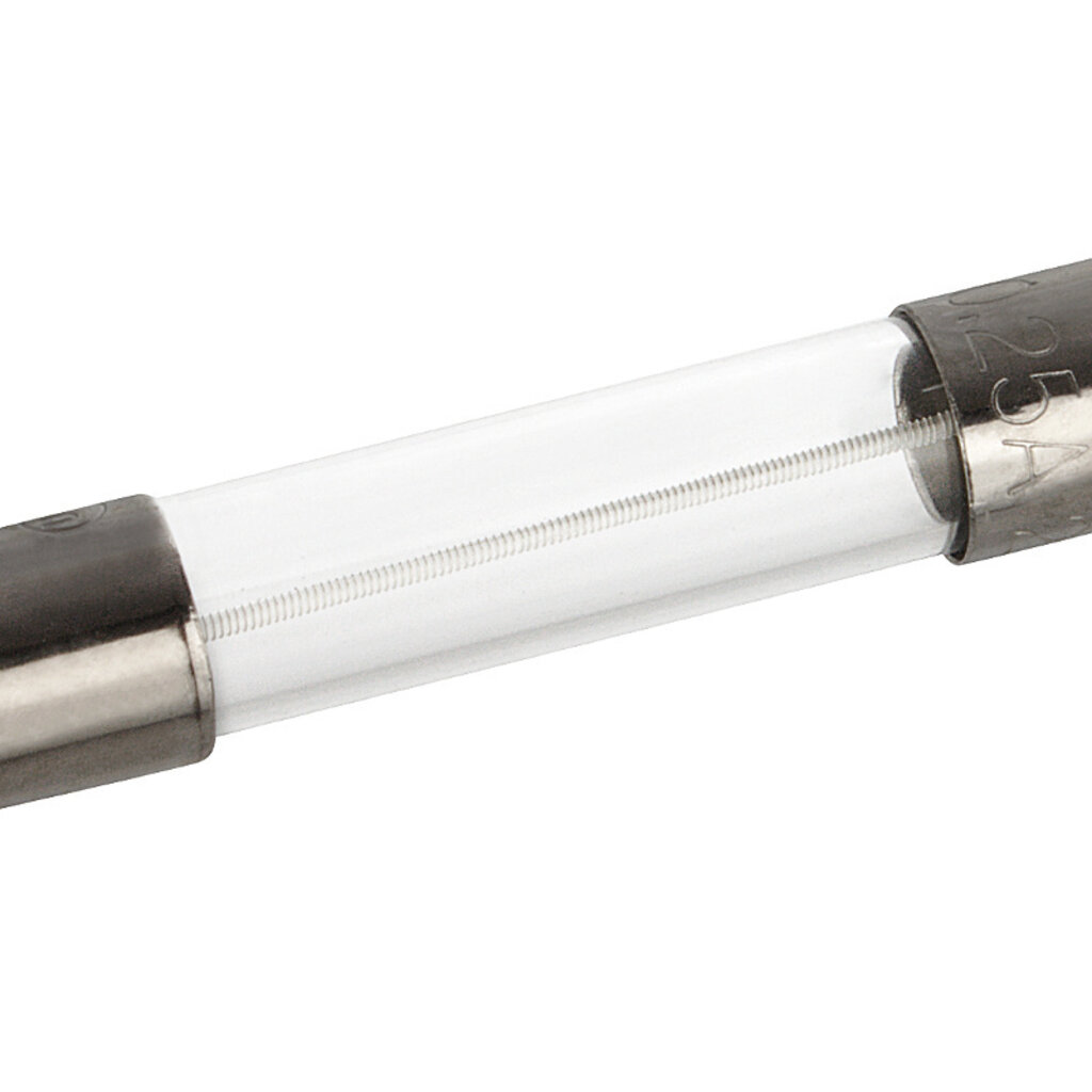 Buis zekering 32mm 250mA T 250V