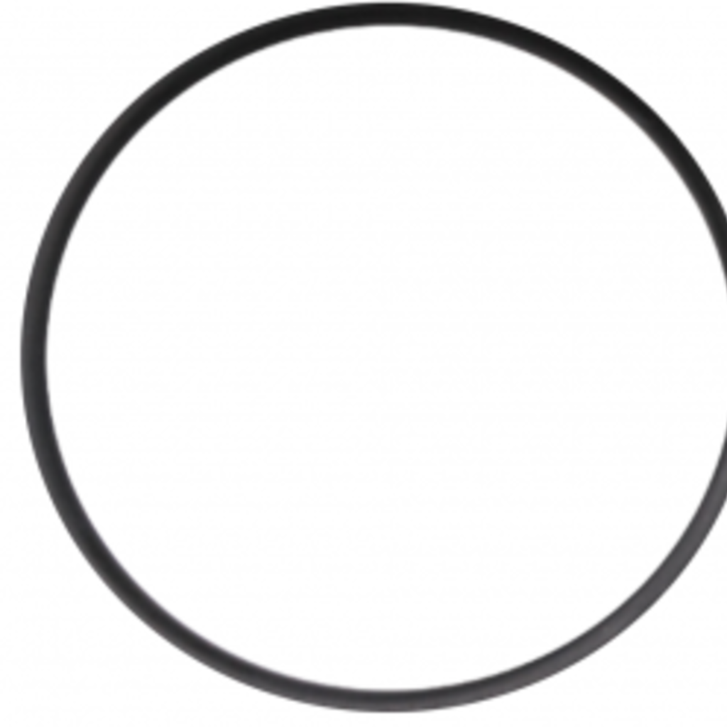 Waterway Europe O-ring  Waterway Tiny Might Circulatiepomp