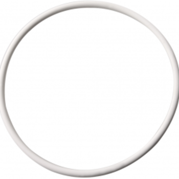 Sundance Spas 63 mm O-ring voor Sundance - klep