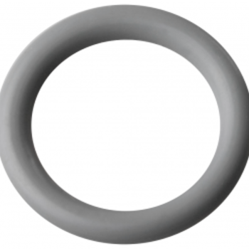 Sundance Spas 15 mm O-ring voor Sundance - klep