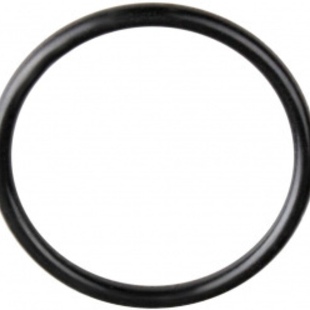 Waterway Europe Waterway O-ring 36 mm