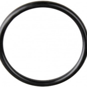 Davey Davey SpaPower 2" pompkoppeling o-ring