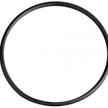 Waterway Europe 68 mm O-ring voor 2,5" pompaansluiting