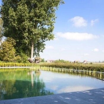 Zwemvijver liner