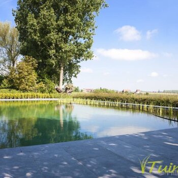 Zwemvijver liner