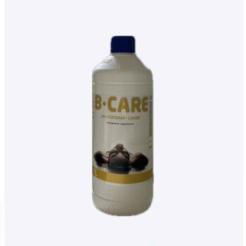 B-Care Spa pH plus 1L