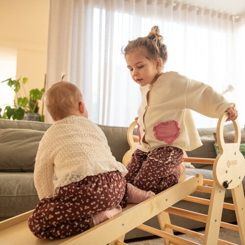 FINOOS FINOOS Klettergerüst – Kletterdreieck – Kletterbogen – Rutsche – Xylophon – Kissen – Montessori Holzspielzeug - Rosa