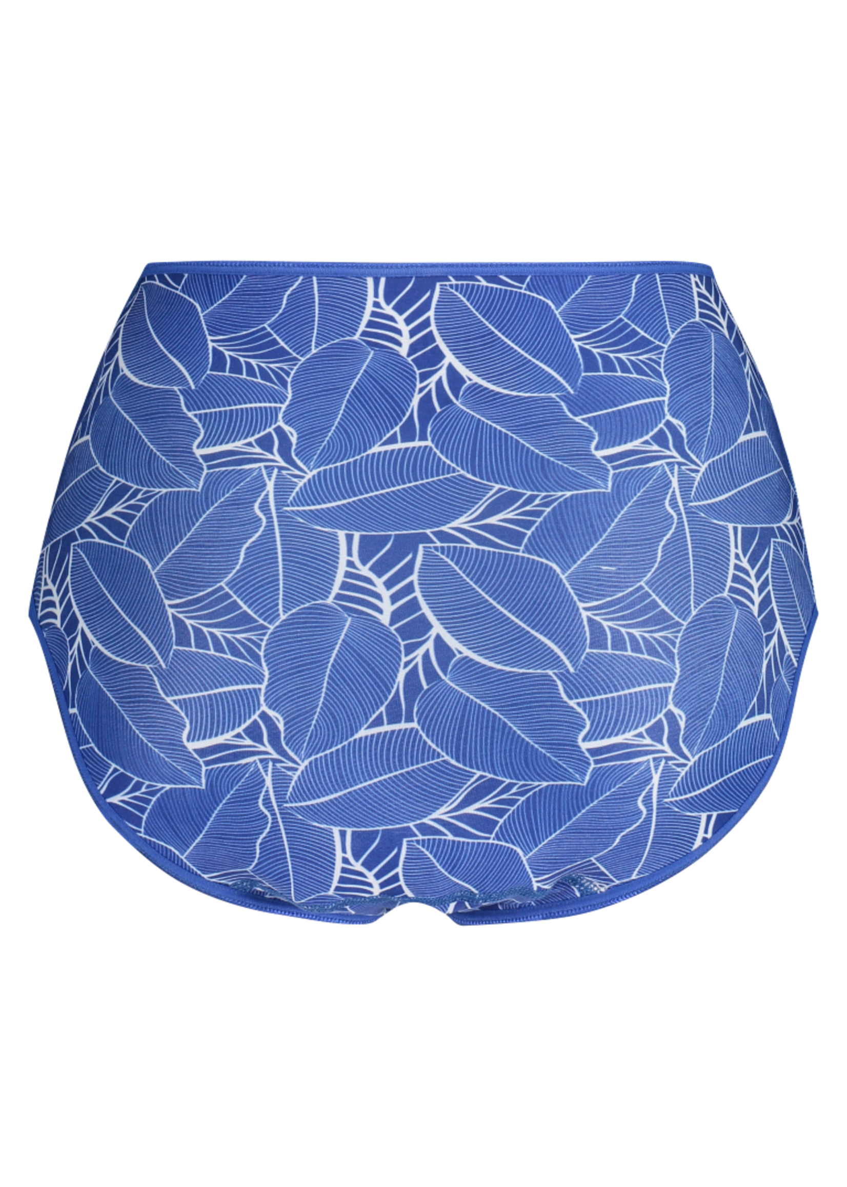 RJ underwear Maxi Brief Blue Leaf