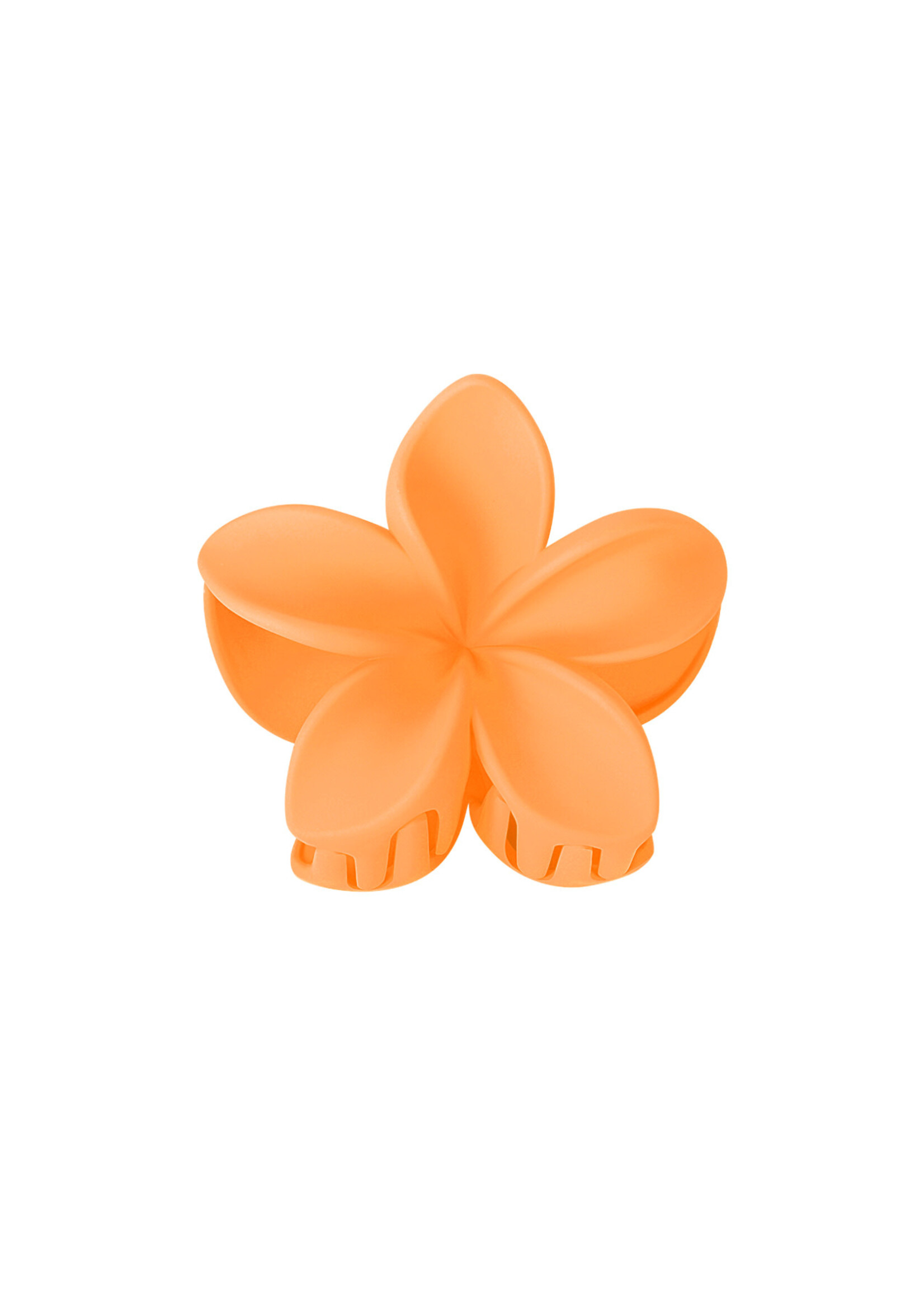 Haarklem Lily bloem - oranje