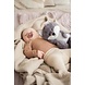Flow Flow Heartbeat Knuffel Comforter Robin de vos grijs Flow Flow Heartbeat Knuffel Comforter Robin de vos grijs