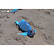 Eugy 3D model wild dier Schildpad Eugy 3D model wild dier Schildpad
