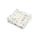 Jollein Hydrofiele Doek Small 70 x 70 cm Dreamy Mouse (2-pack) Jollein Hydrofiele Doek Small 70 x 70 cm Dreamy Mouse (2-pack)