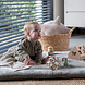 Babys Only Boxkleed Cozy warm linen - 75x95 Babys Only Boxkleed Cozy warm linen - 75x95
