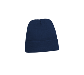 Acrylic Beanie With 3M Thinsulate Lining With Roll Up 3059