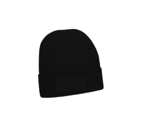 WINTERACTIE: Acrylic Beanie With 3M Thinsulate Lining With Roll Up 3059