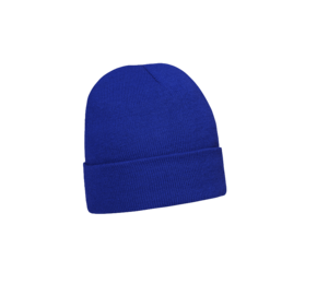 WINTERACTIE: Acrylic Beanie With Roll Up 4243