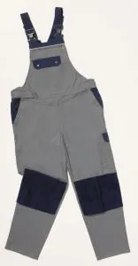 Amerikaanse Overal Putten