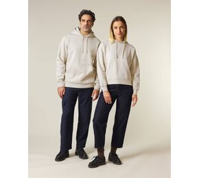 The unisex Iconic hoodie STSU177
