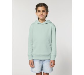 The kids' Iconic hoodie STSK180