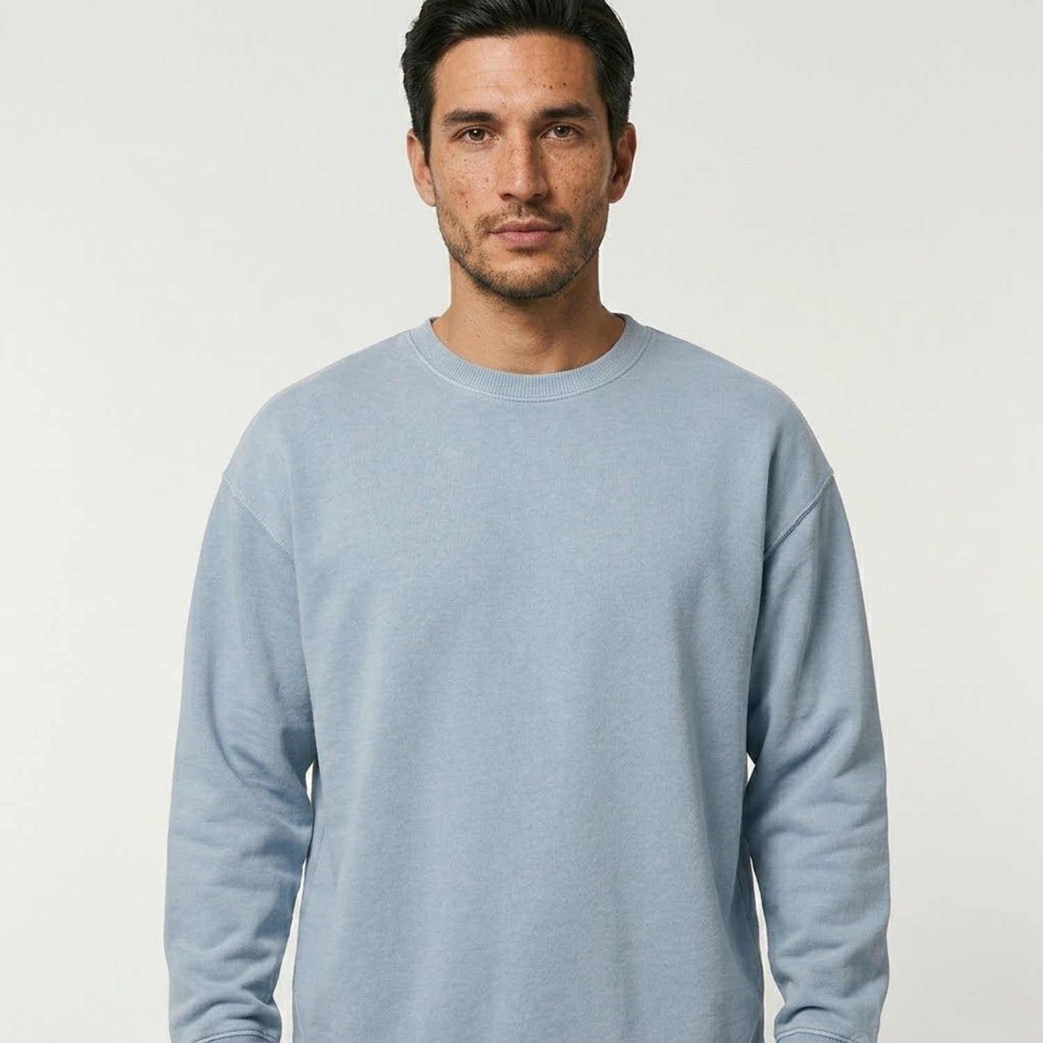 Radder 2.0 vintage unisex sweater STSU210
