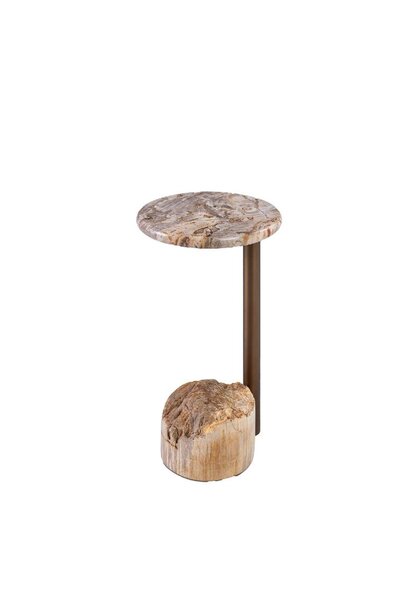 Ataja Natural petrified wood sidetable brass leg
