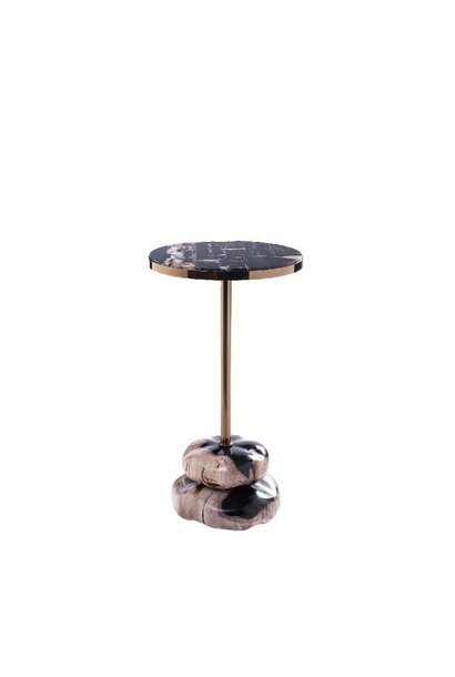 Wane Natural petrified wood double base sidetable