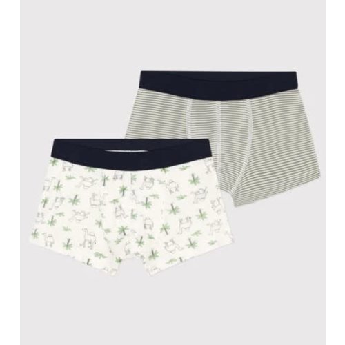 Petit Bateau SET VAN 2 KATOENEN BOXERSHORTS MET DROMEDARISPRINT VOOR JONGENS