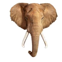 I Am mini Puzzle - Olifant