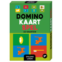 Spelend leren Domino