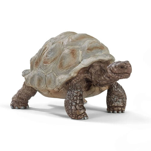 Schleich Reuzenschildpad - Wild Life