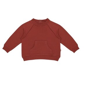 House of Jamie Baby Raglan Sweater Rustic Red