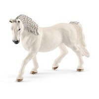 Lipizzaner merrie - Horse Club