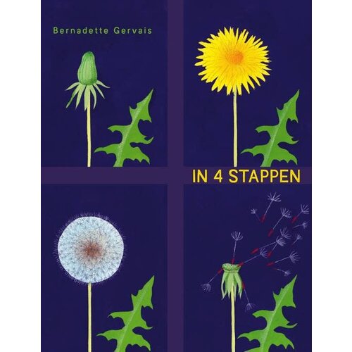 NVT Boek 'In 4 stappen'