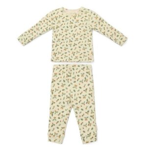Little Dutch Tweedelige Pyjama Acorns & Leaves
