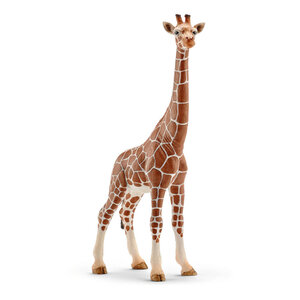 Schleich Wijfjesgiraf - Wild Life